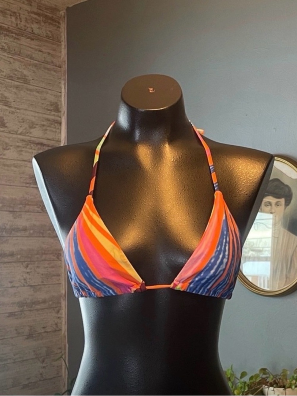 Shein Striped Multicolor Bikini Top